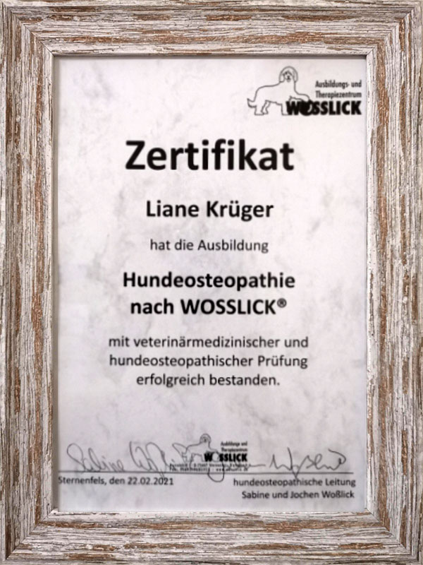 Hunde-Osteopathin in Frankfurt (Oder)