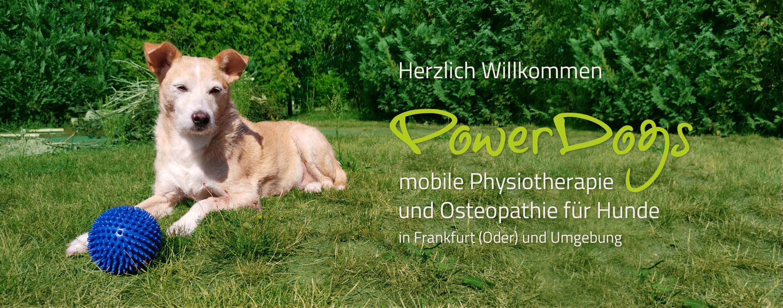 POWERDOGS - Hunde Physiotherapie