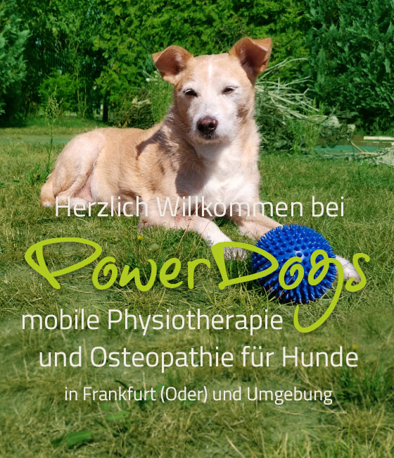 POWERDOGS - Hundephysiotherapie